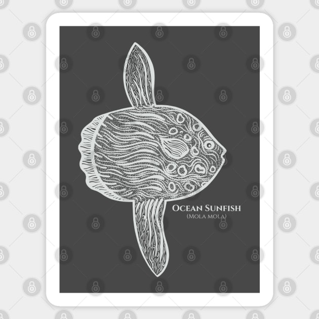 Ocean Sunfish with Common and Scientific Names - fish drawing Sticker by Green Paladin